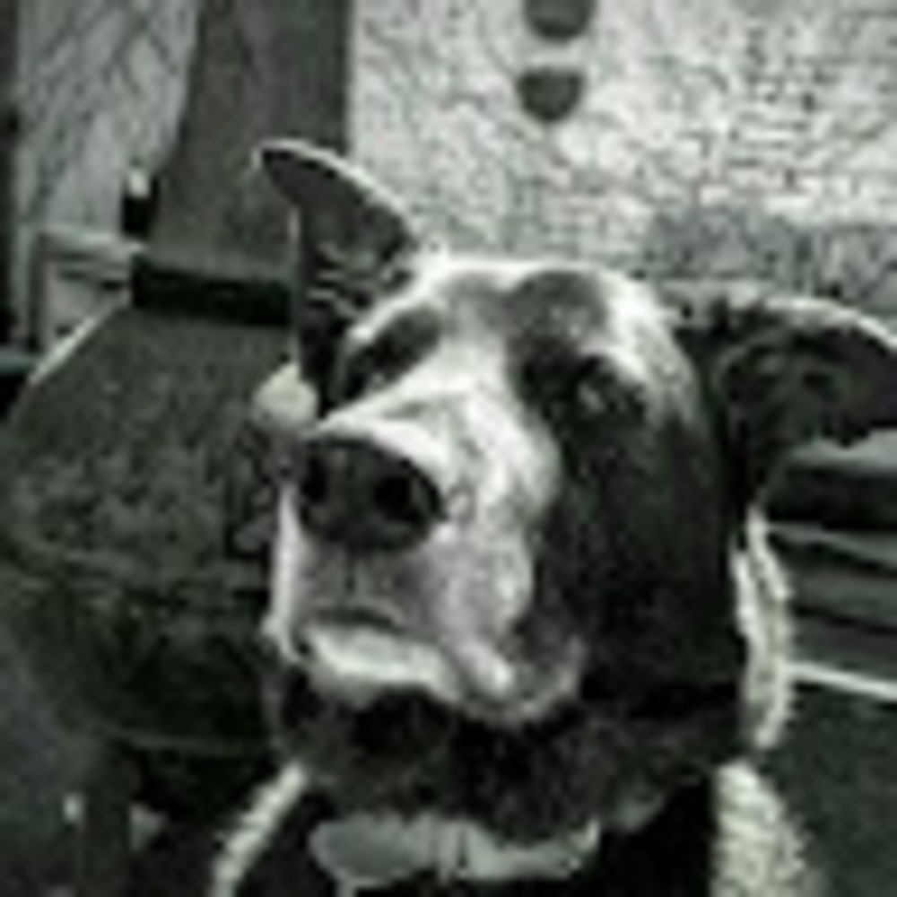 Meet your Posher, Nelly